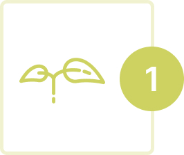 Plantas listas para cultivar