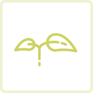 Plantas más resistentes y sanas